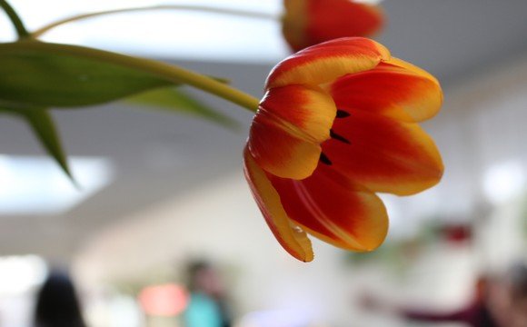 e04fc88548d06965763f2510ed1ba48a.640x360